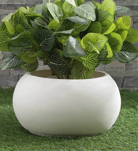 large round white planter